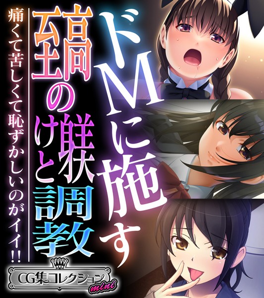 k187afrnt07215【無料エロマンガ】ドMに施す至高の躾けと調教 〜痛くて苦しくて恥ずかしいのがイイ!!〜【CG集コレクション ミニ】 | 大人のSEXY絵本