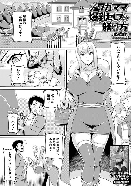 b164aisis05251【無料エロマンガ】ワガママ爆乳セレブの躾け方 | 川沼魚釣 一水社編集部