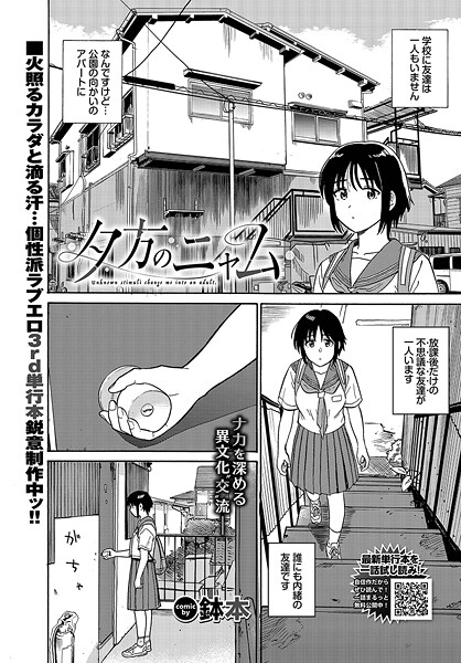 b472abnen03301【無料エロマンガ】夕方のニャム | 鉢本 コミックバベル編集部